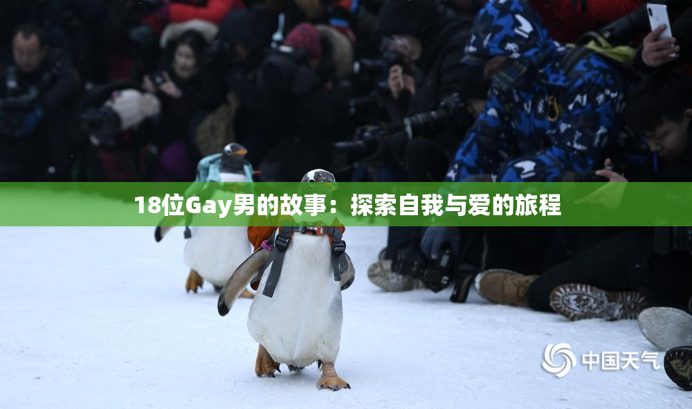 18位Gay男的故事：探索自我与爱的旅程