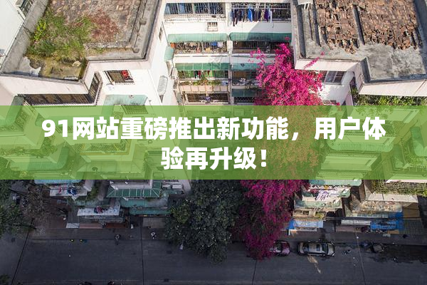 91网站重磅推出新功能，用户体验再升级！