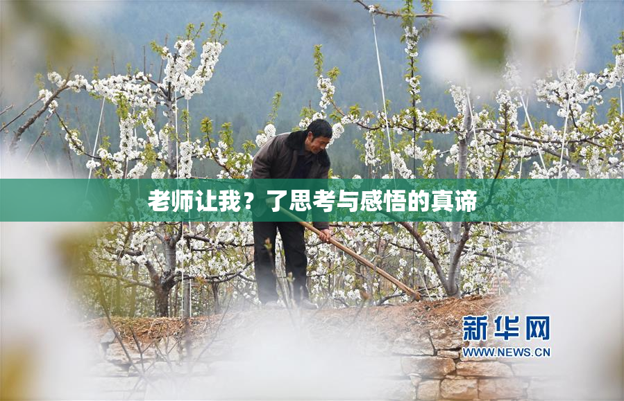 老师让我？了思考与感悟的真谛