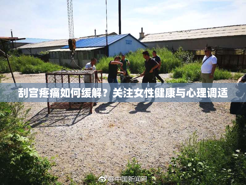 刮宫疼痛如何缓解？关注女性健康与心理调适