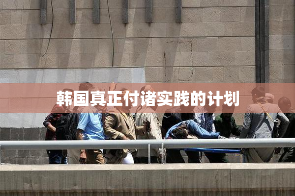 韩国真正付诸实践的计划