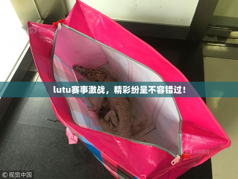 lutu赛事激战，精彩纷呈不容错过！