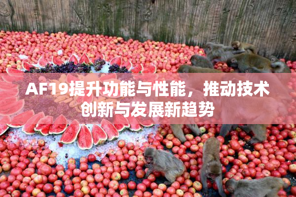 AF19提升功能与性能，推动技术创新与发展新趋势