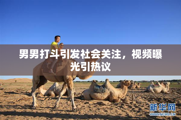 男男打斗引发社会关注，视频曝光引热议