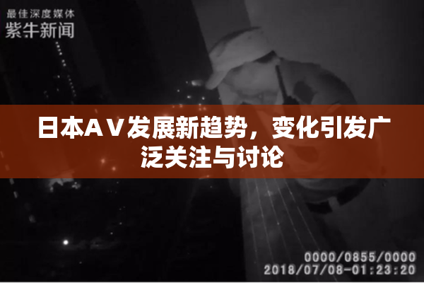 日本AⅤ发展新趋势，变化引发广泛关注与讨论