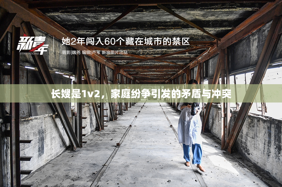 长嫂是1v2，家庭纷争引发的矛盾与冲突