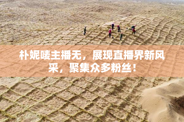 朴妮唛主播无，展现直播界新风采，聚集众多粉丝！
