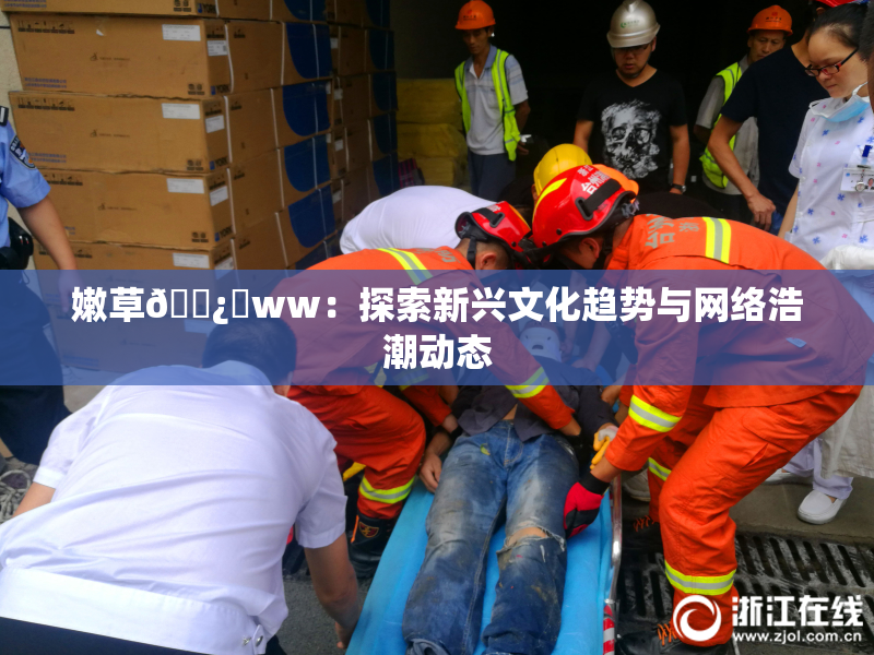 嫩草🌿‌ww：探索新兴文化趋势与网络浩潮动态