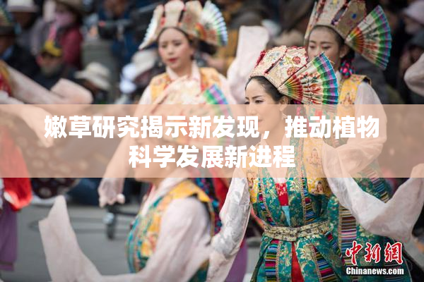 嫩草研究揭示新发现，推动植物科学发展新进程