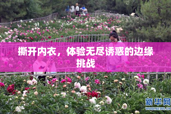 撕开内衣，体验无尽诱惑的边缘挑战