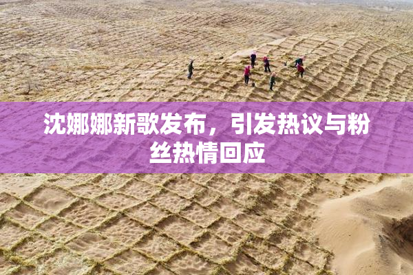 沈娜娜新歌发布，引发热议与粉丝热情回应