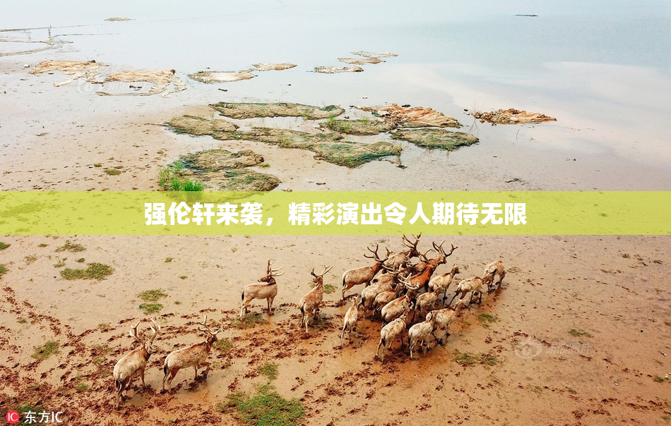 强伦轩来袭，精彩演出令人期待无限