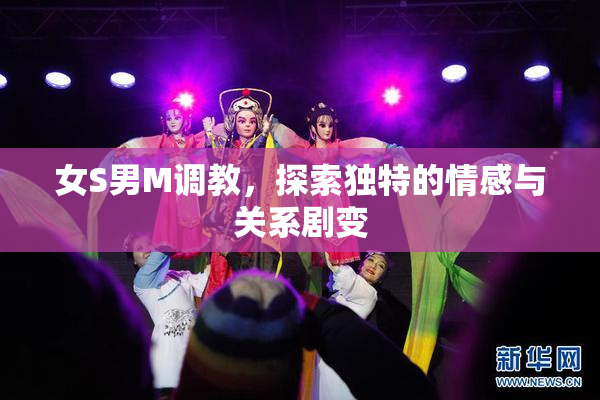 女S男M调教，探索独特的情感与关系剧变