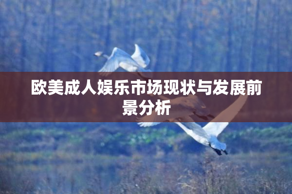 欧美成人娱乐市场现状与发展前景分析