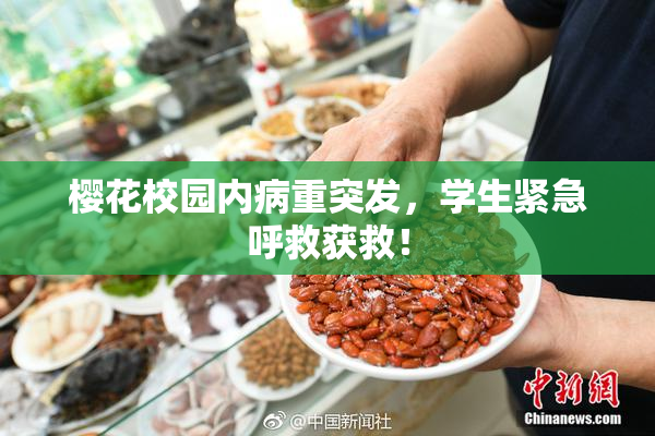 樱花校园内病重突发，学生紧急呼救获救！