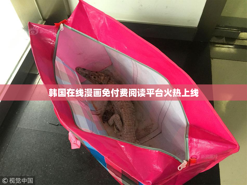 韩国在线漫画免付费阅读平台火热上线