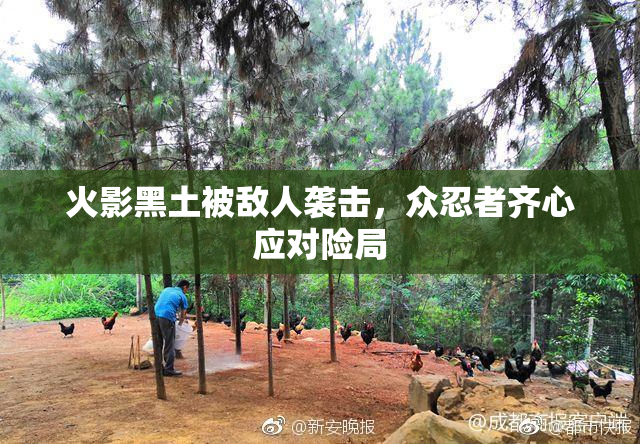 火影黑土被敌人袭击，众忍者齐心应对险局