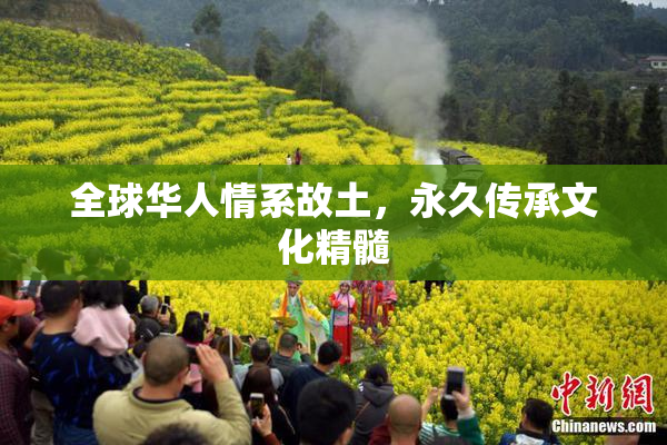全球华人情系故土，永久传承文化精髓