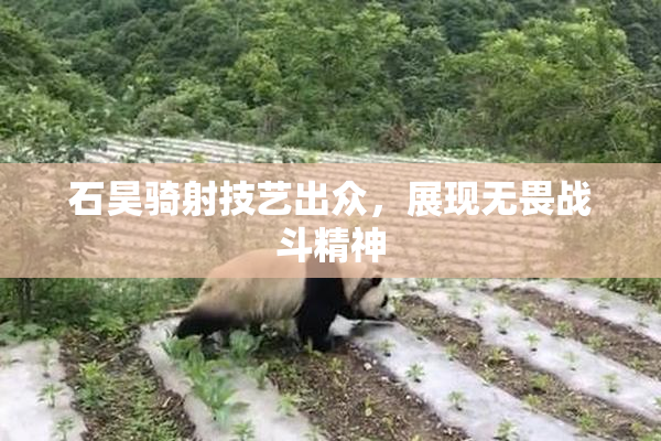 石昊骑射技艺出众，展现无畏战斗精神