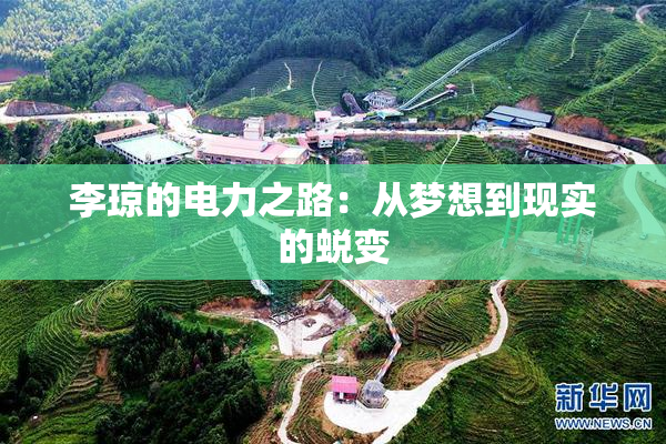 李琼的电力之路：从梦想到现实的蜕变