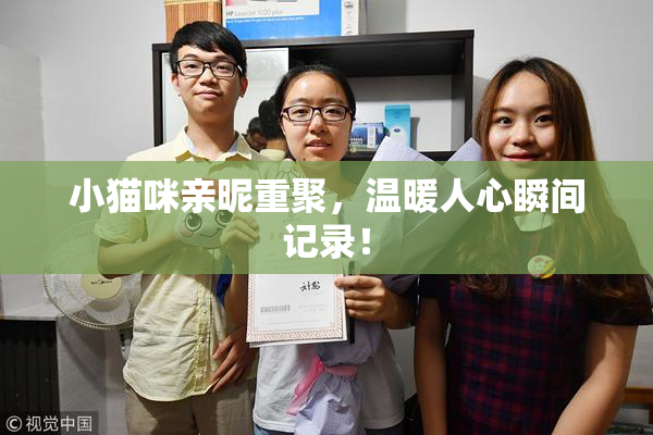 小猫咪亲昵重聚，温暖人心瞬间记录！