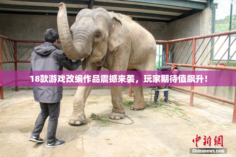 18款游戏改编作品震撼来袭，玩家期待值飙升！