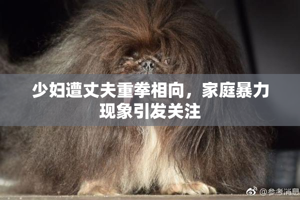 少妇遭丈夫重拳相向，家庭暴力现象引发关注
