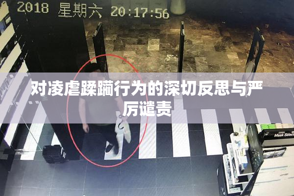对凌虐蹂躏行为的深切反思与严厉谴责
