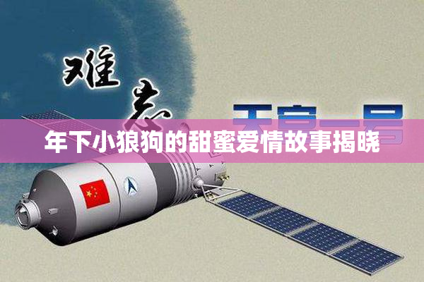 年下小狼狗的甜蜜爱情故事揭晓