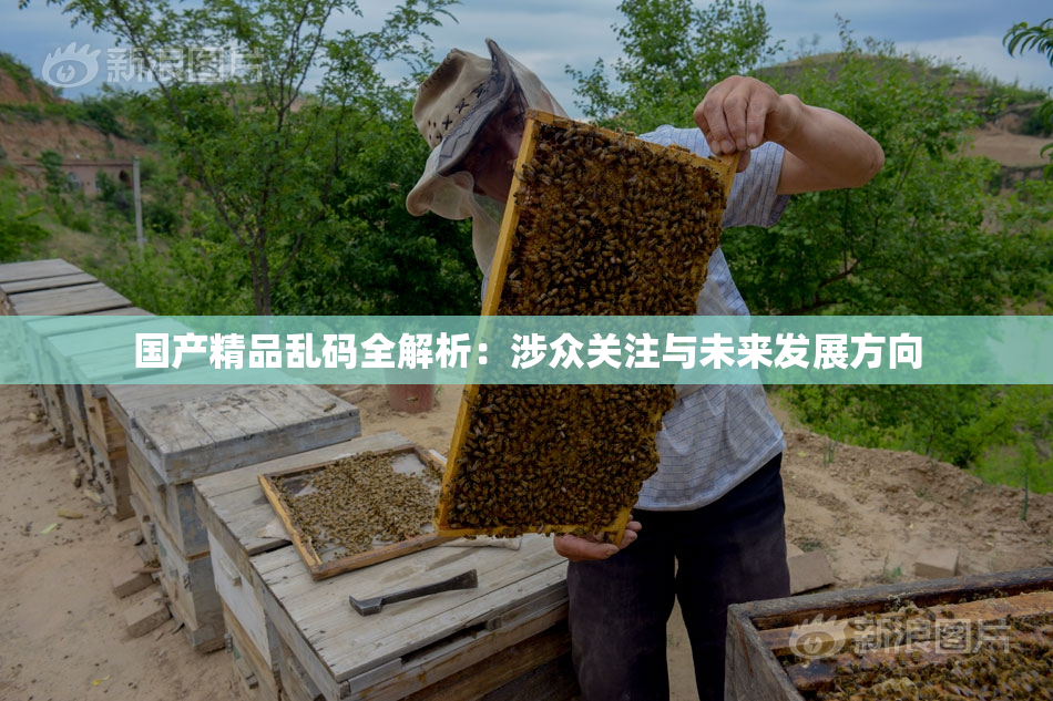 国产精品乱码全解析：涉众关注与未来发展方向