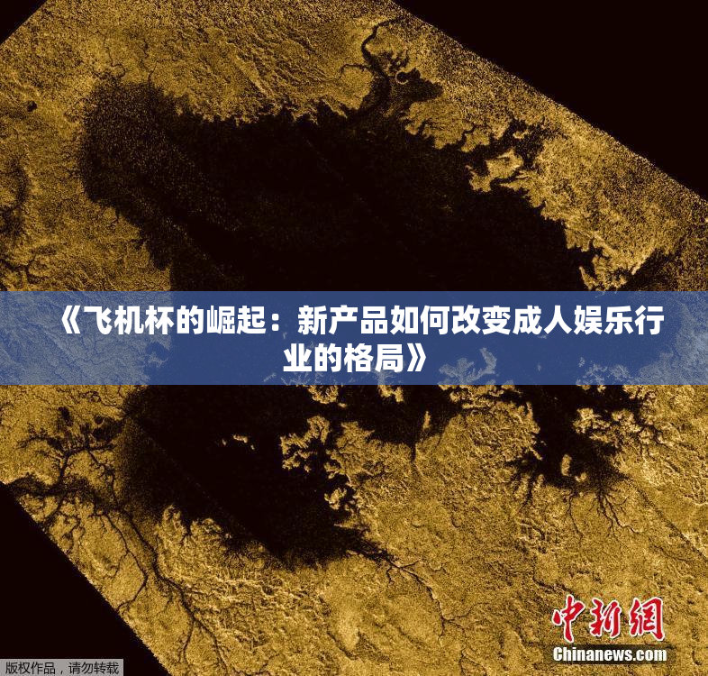 《飞机杯的崛起：新产品如何改变成人娱乐行业的格局》