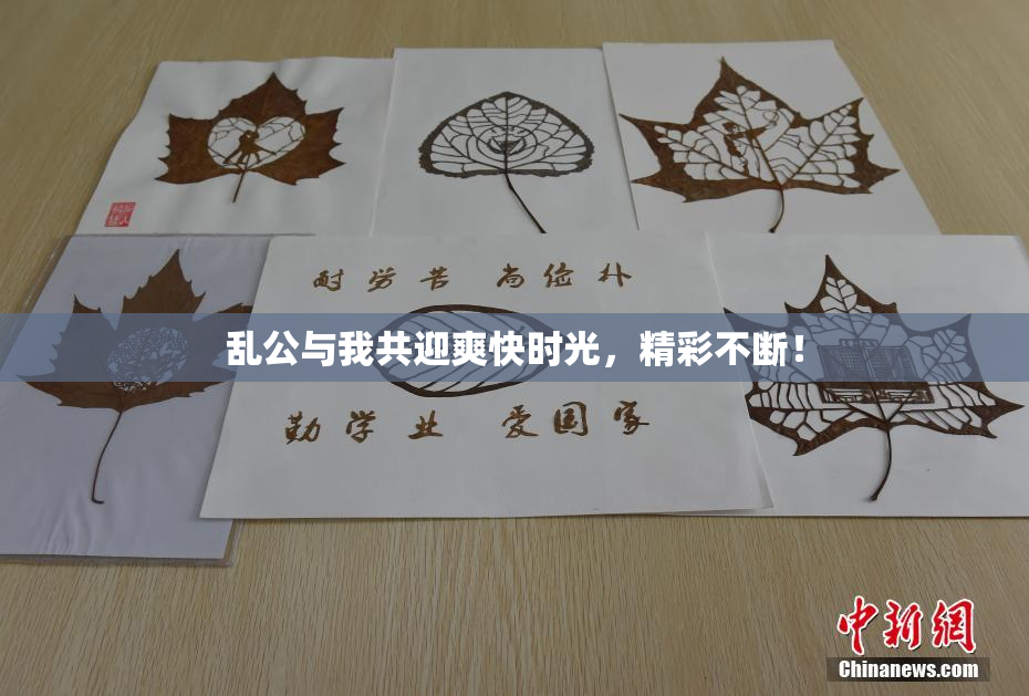 乱公与我共迎爽快时光，精彩不断！