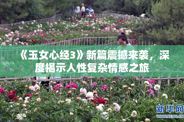 《玉女心经3》新篇震撼来袭，深度揭示人性复杂情感之旅
