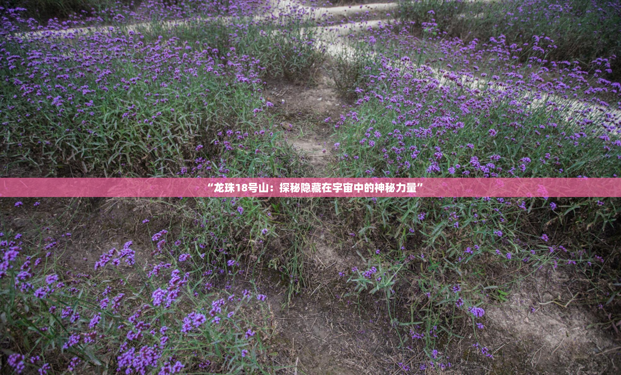 “龙珠18号山：探秘隐藏在宇宙中的神秘力量”