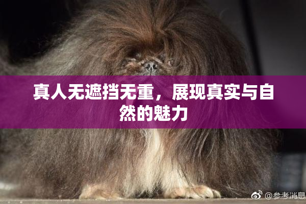真人无遮挡无重，展现真实与自然的魅力