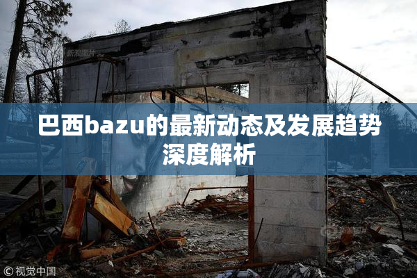 巴西bazu的最新动态及发展趋势深度解析