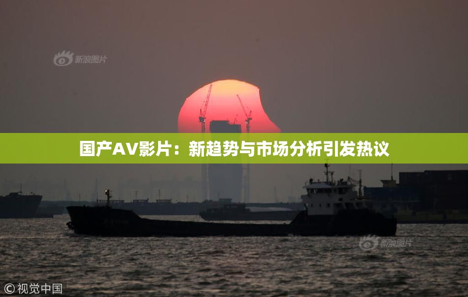 国产AV影片：新趋势与市场分析引发热议