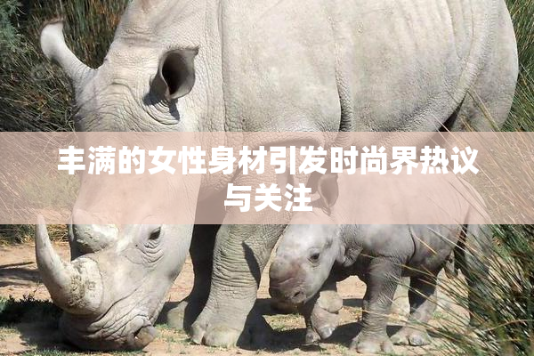 丰满的女性身材引发时尚界热议与关注