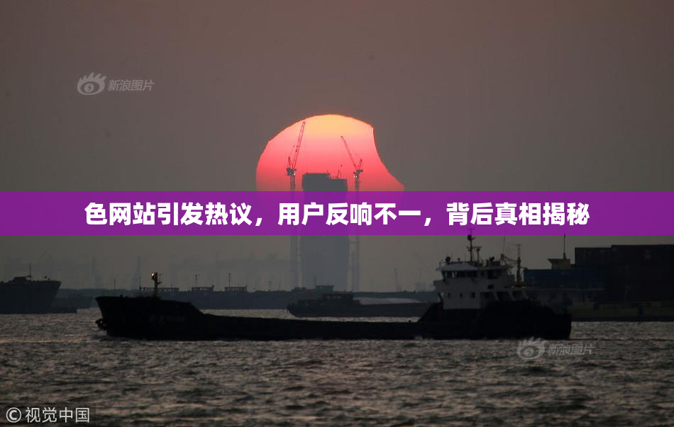 色网站引发热议，用户反响不一，背后真相揭秘