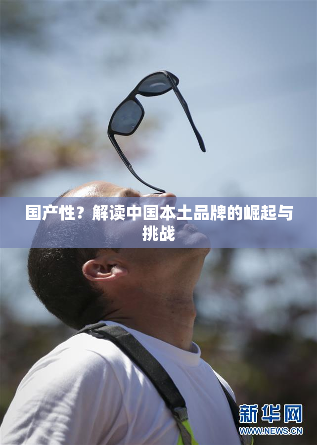 国产性？解读中国本土品牌的崛起与挑战