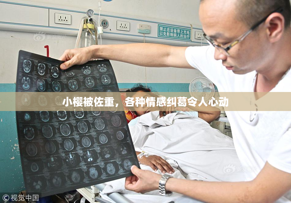 小樱被佐重，各种情感纠葛令人心动