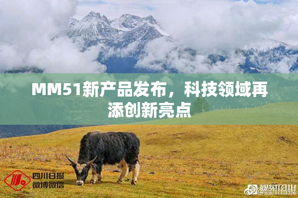 MM51新产品发布，科技领域再添创新亮点
