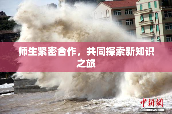 师生紧密合作，共同探索新知识之旅