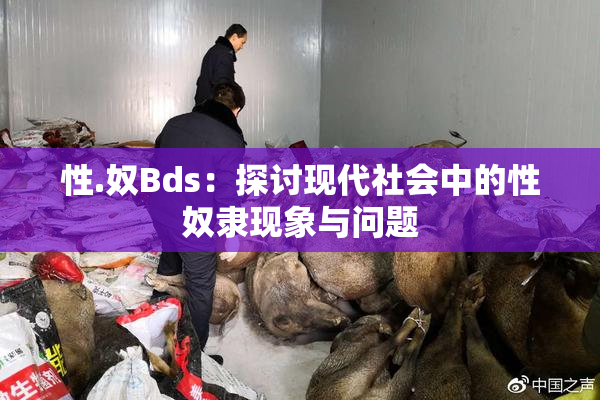 性.奴Bds：探讨现代社会中的性奴隶现象与问题