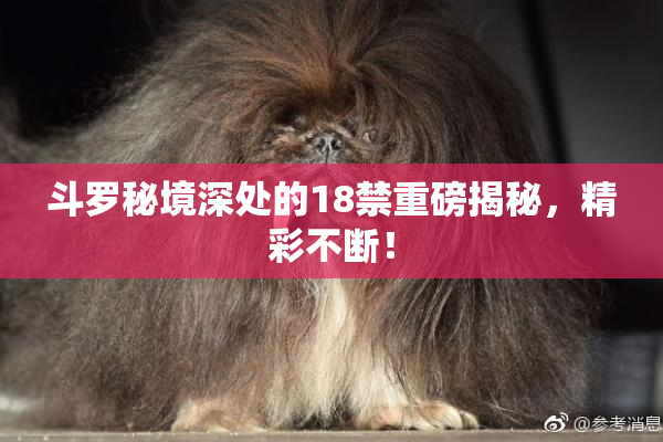 斗罗秘境深处的18禁重磅揭秘，精彩不断！