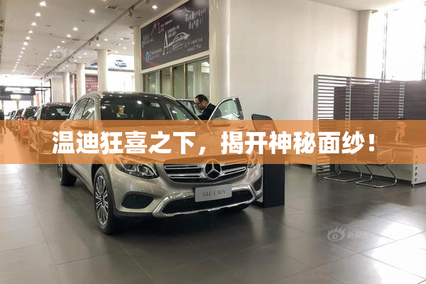 温迪狂喜之下，揭开神秘面纱！