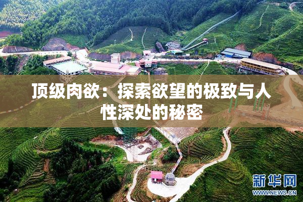 顶级肉欲：探索欲望的极致与人性深处的秘密