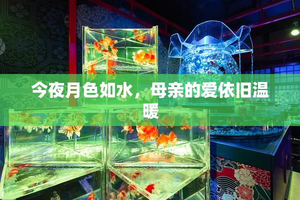 今夜月色如水，母亲的爱依旧温暖