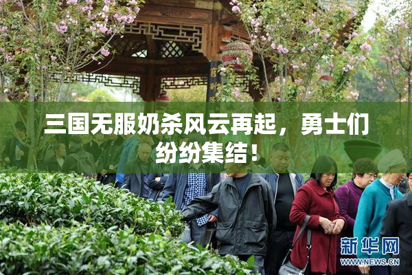 三国无服奶杀风云再起，勇士们纷纷集结！