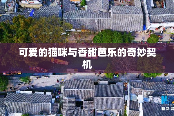 可爱的猫咪与香甜芭乐的奇妙契机